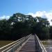 Foot bridge to the falls