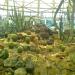 Cactus Park in Jakarta city