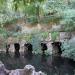 Labyrinthic Grotto