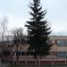 Детский сад в городе Кременчуг