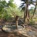 Tube-Well,  Pandab-Pradhan Village