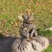 «Лавочка примирения» и скульптура Царевны-лягушки в городе Калининград