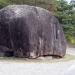 Hwasun Dolmen Site (화순 고인돌공원)