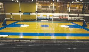 O Centro Desportivo Spc Vojvodina Comumente Designado Por Spens é Um Local  Multifuncional Localizado Em Novi Sad Vojvodina Serbia. Imagem de Stock  Editorial - Imagem de cestas, elevado: 179021974