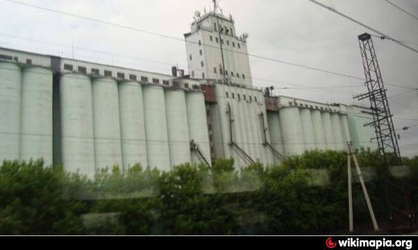 Гриф поселок элеватор 18а стр 2 фото Калачинский элеватор - Калачинск