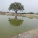 Temple Tank of Lord Nataraja's Temple