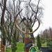 Пам'ятник полеглим правоохоронцям в місті Ужгород