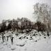 Остров Грачев в городе Чебаркуль