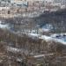 Площадка для тренировки и выгула собак в городе Владивосток