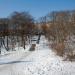 Лестница в городе Владивосток