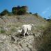Armazi Citadel Ruins in Mtskheta city
