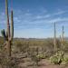 Saguaro National Park West