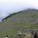 Agricultural Terraces at Machu Picchu