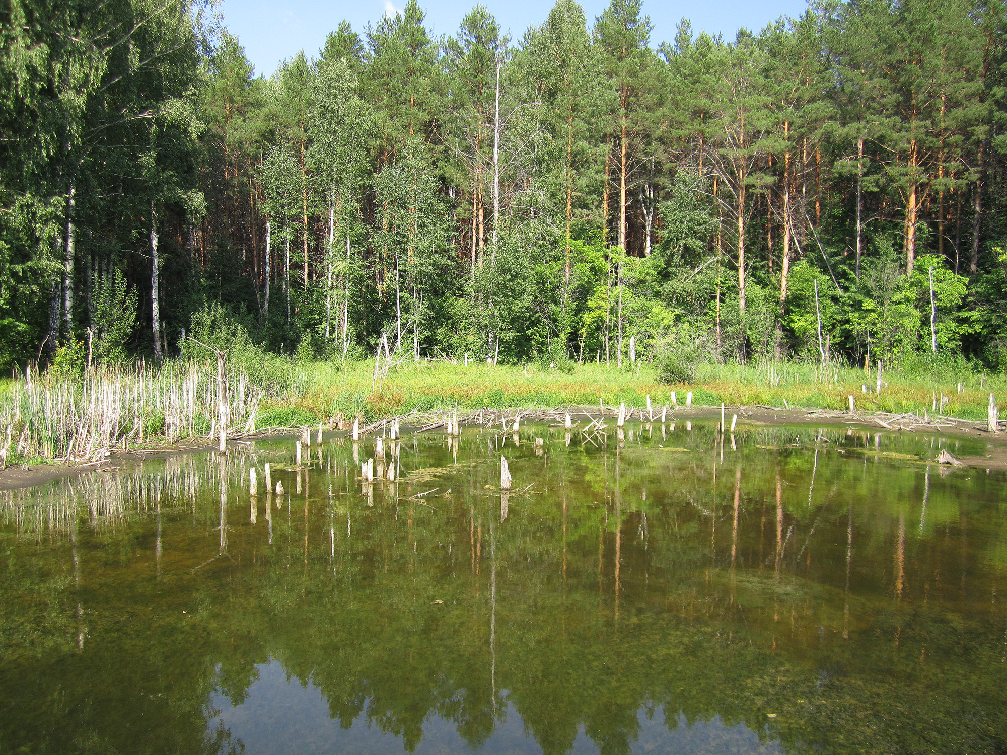 Болото