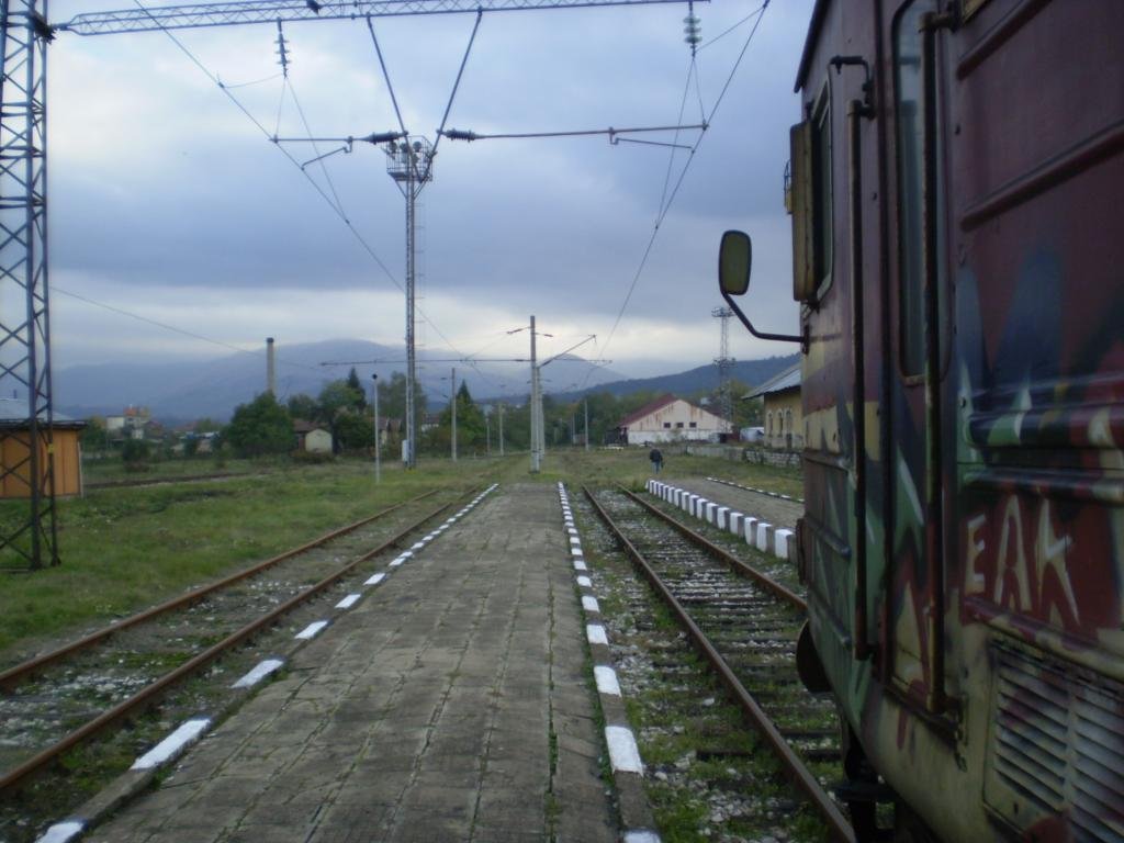 Жп гара Берковица