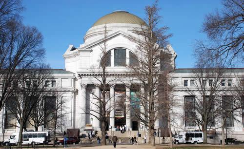 المتحف الوطني للتاريخ الطبيعي واشنطن دي سي