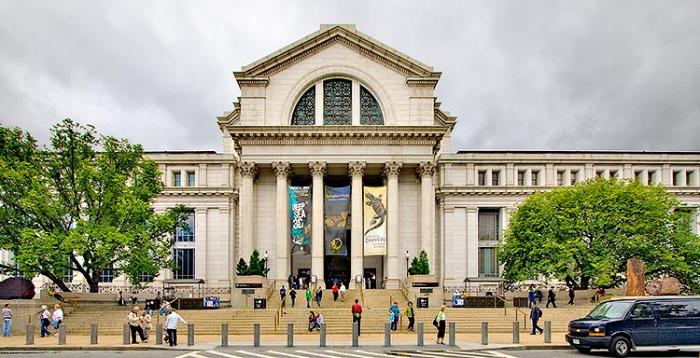 أفضل 5 أنشطة في المتحف الوطني للتاريخ الطبيعي واشنطن رحلاتك