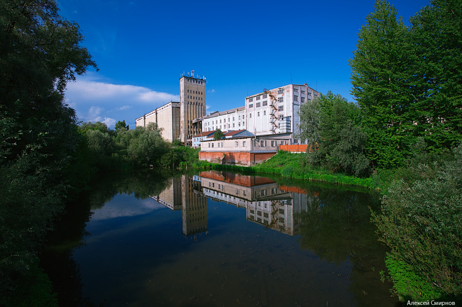 Tyotkino