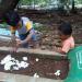 Makam Layla Ramadhan Binti Agus Iman in Cikampek city