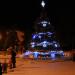 Городская ель в городе Евпатория