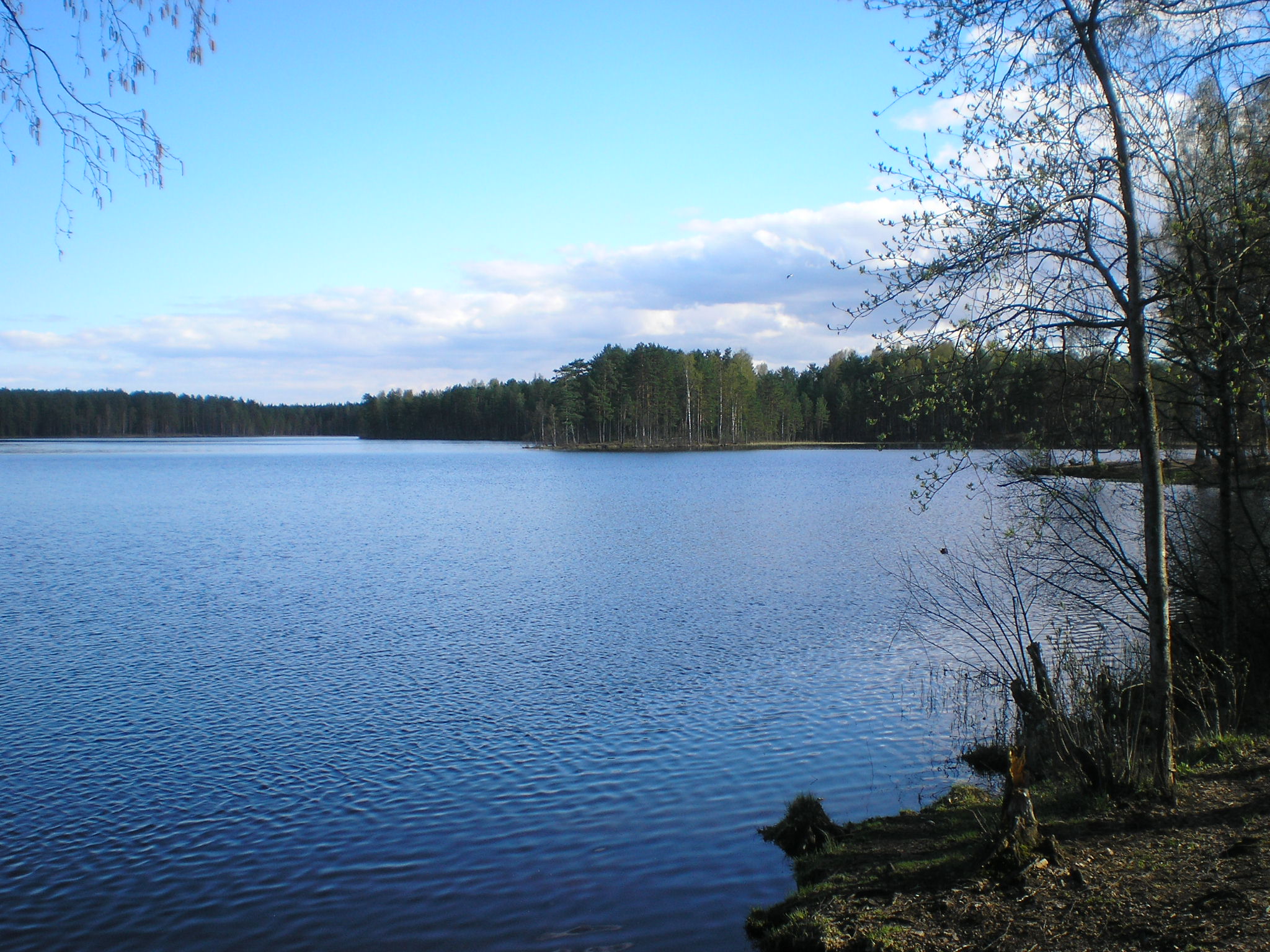 Информация недоступна (ошибка RK n.22)