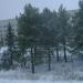 Территория гостиницы в городе Полевской