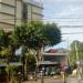 Sequoia Hotel in Quezon City city