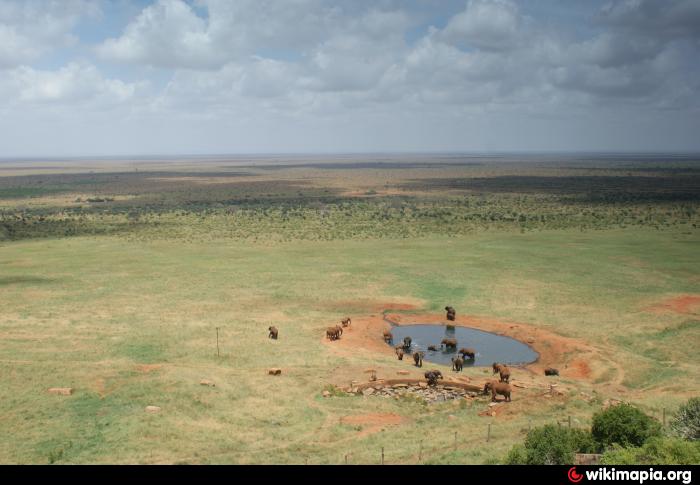 Voi Safari Lodge