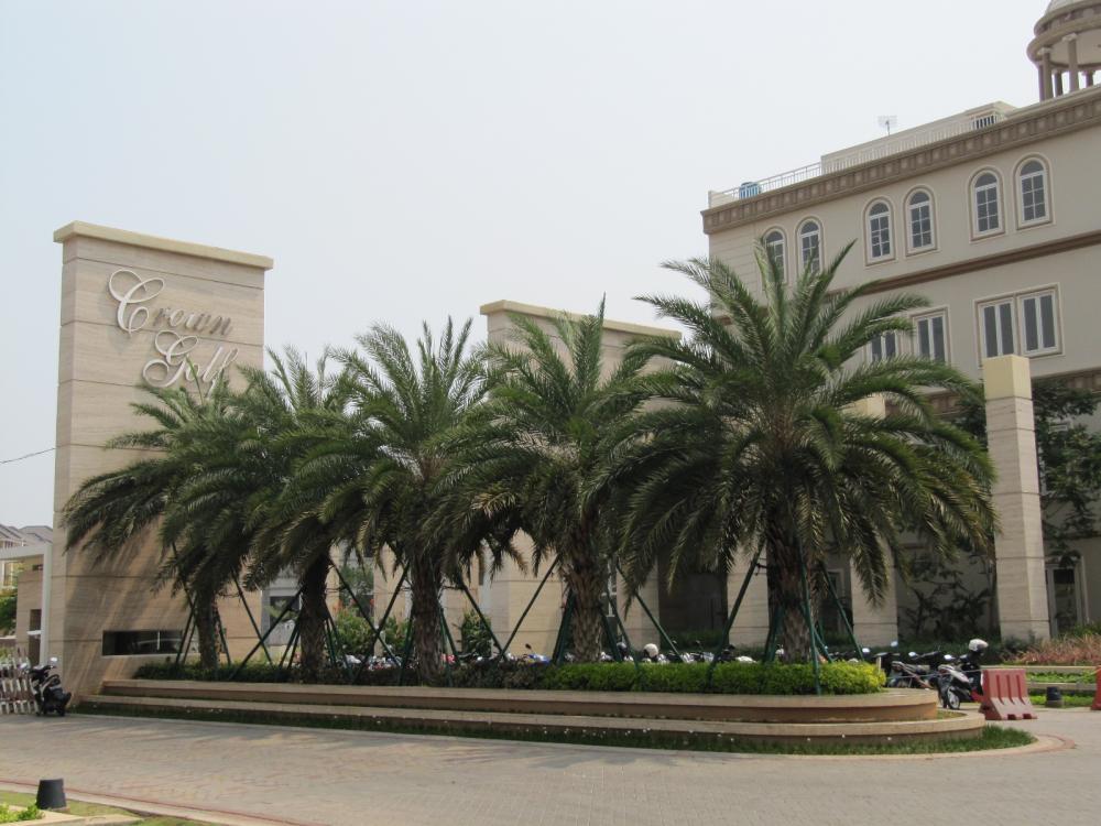 Cluster Crown Golf PIK