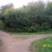 Ensor's Pool Nature Reserve in Nuneaton city