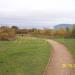 Ensor's Pool Nature Reserve in Nuneaton city