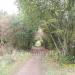 Ensor's Pool Nature Reserve in Nuneaton city