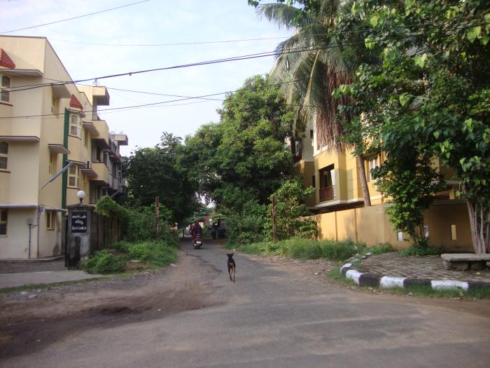 Garden View Apartments 6th Avenue Chennai