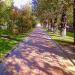 Вырубленный Молодёжный сквер в городе Москва
