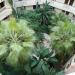 Utopia Resort & Residence 5* (ex. Alara Park & Residence Hotel 5*) in Incekum city