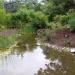 Fort Wayne Children's Zoo