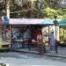 Магазин-кафе (ru) in Alushta city