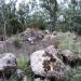 Nuraghe Pranu Forru