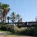 The Wishing Bridge in Tel Aviv-Yafo city