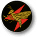 113th. ('Hornet')  Squadron