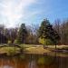 Babayevsky Pond