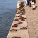 Shoes on the Danube Bank in Budapest city