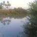 Dr. Jafar naser albahadly home