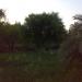 Dr. Jafar naser albahadly home