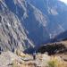 Cañon del Colca