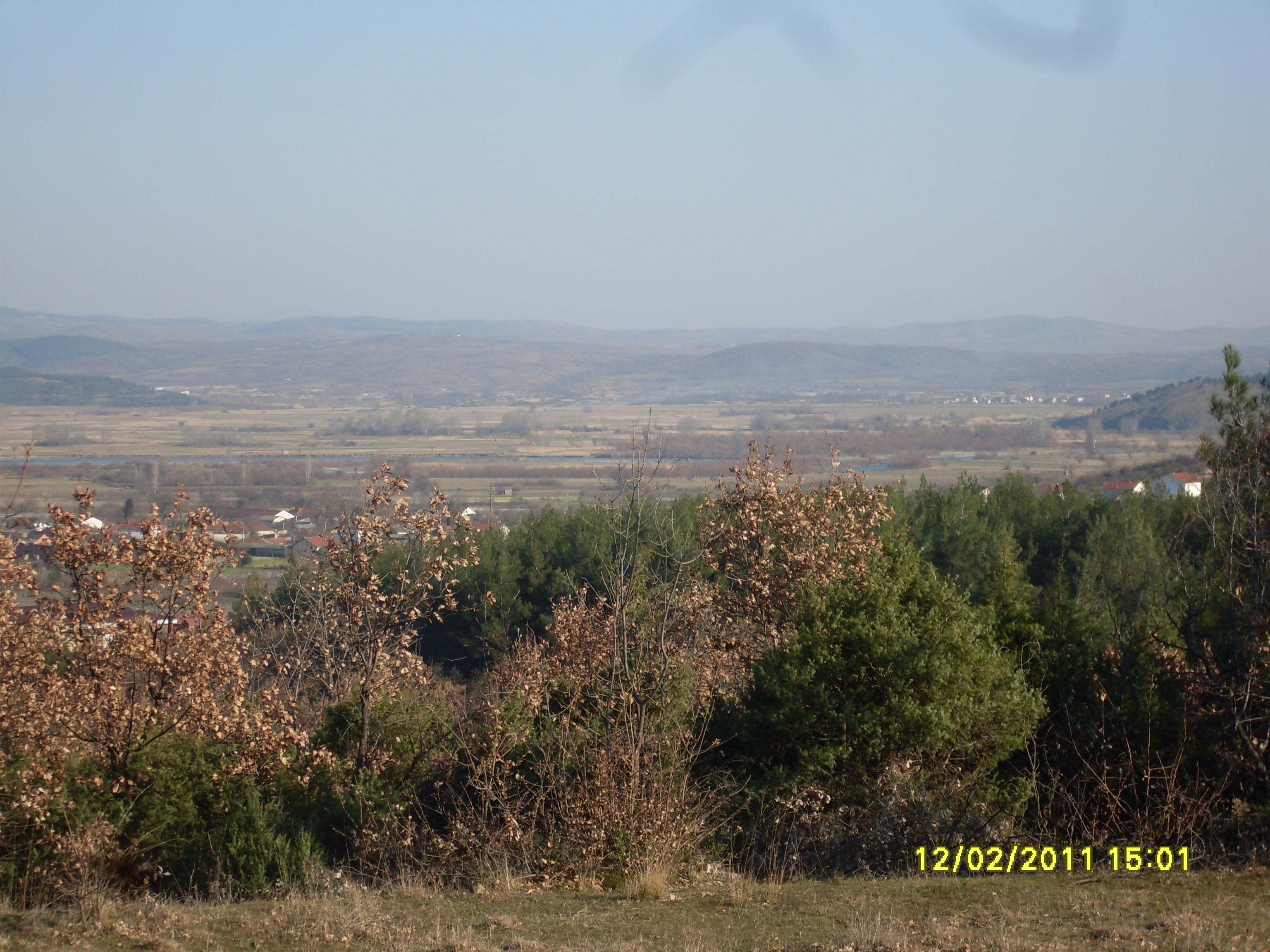 Municipality of Bogdanci