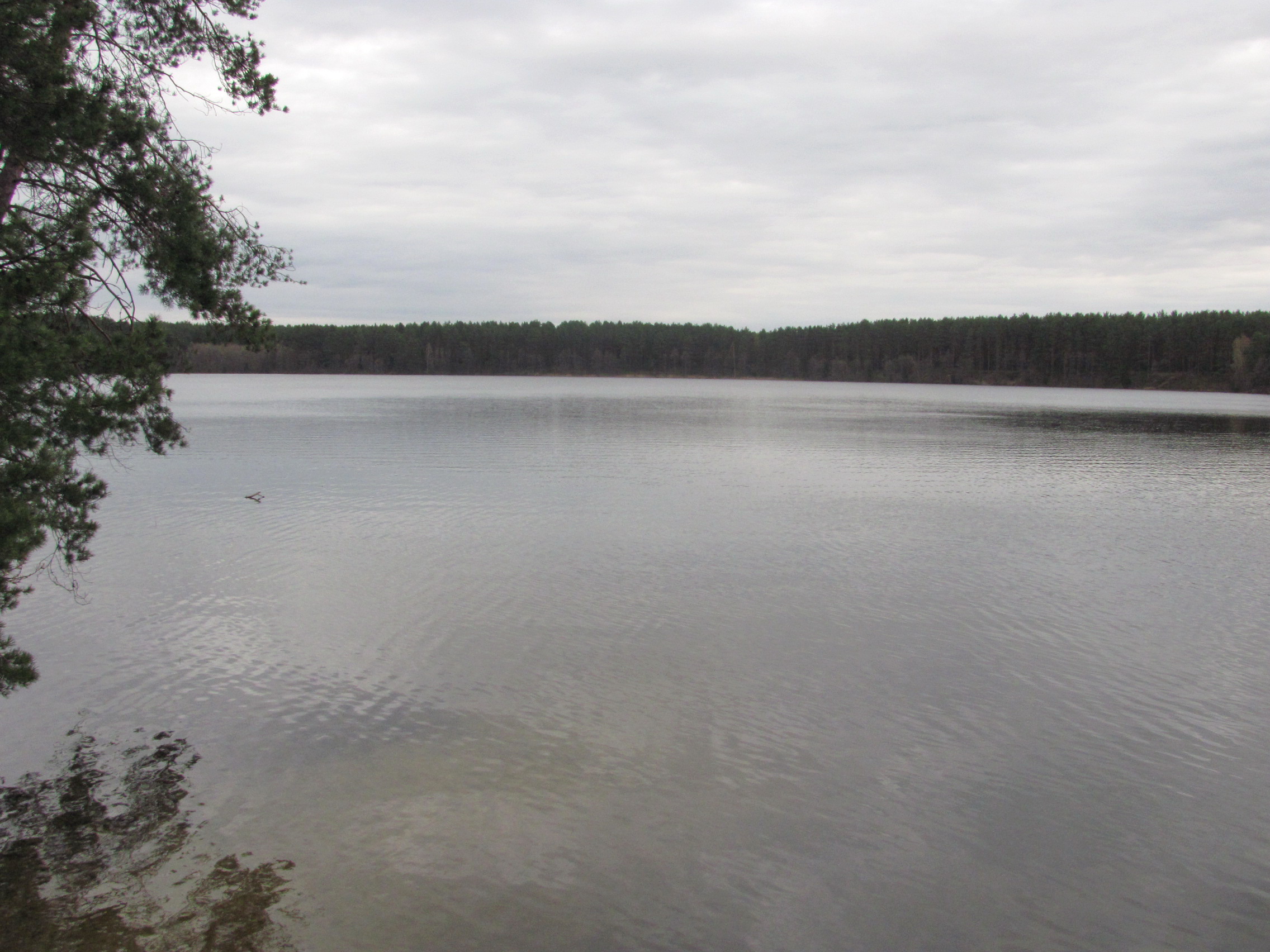 озеро белое житковичский район