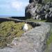 Ceann Sléibhe (Slea Head)