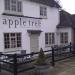 The Apple Tree