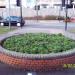 Circular Flower bed in Nuneaton city